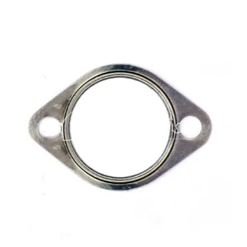 Lycoming Junta Escape