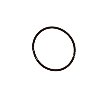 O Ring Filtro Combustible Andair (NSD)