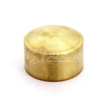 Lycoming Tapón Perno de Bronce