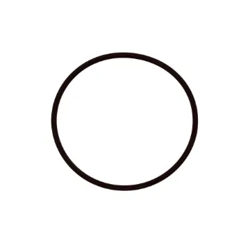 Aravia O Ring Filtro T