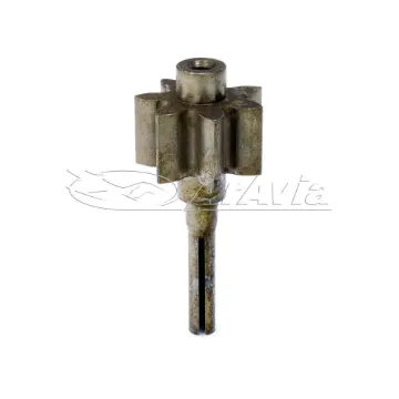 Continental Engranaje Bomba Aceite C-145 (NSD)