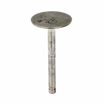 Lycoming Válvula de Admisión 73938 (NSD)