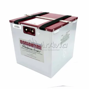 Concorde Batería 24v