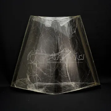 Sampaolesi Plastics Parabrisas