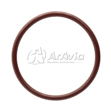 Spraying Systems O Ring Viton Filtro 124A