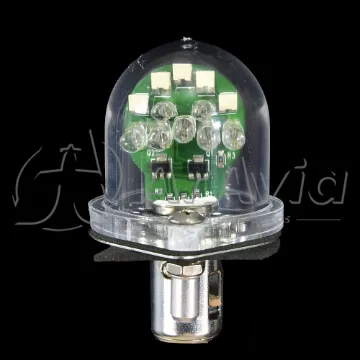Specialty Parts Conjunto Punta de Ala Led