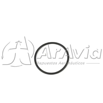 Agrinautics O Ring Filtro "T" (NSD)