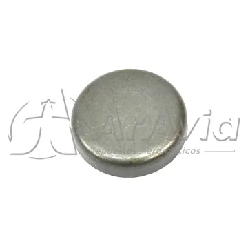 Lycoming Tapón Interno de Cigüeñal