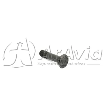Continental Bulón Engranaje de Cigüeñal