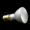 1383-GE_NE_4.jpg