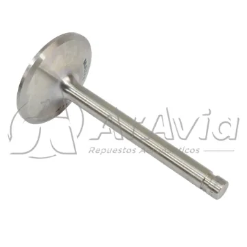 Superior Válvula de Admisión (NSD)