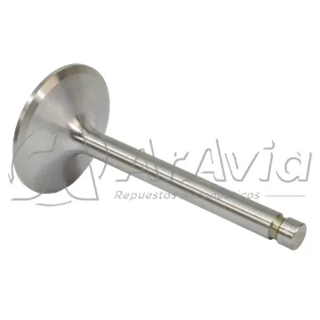 Superior Válvula de Admisión (NSD)