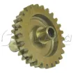 LW-10292_NS_3.jpg