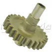 LW-10297_NS_2.jpg
